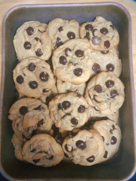 homemade chocolate chip cookies