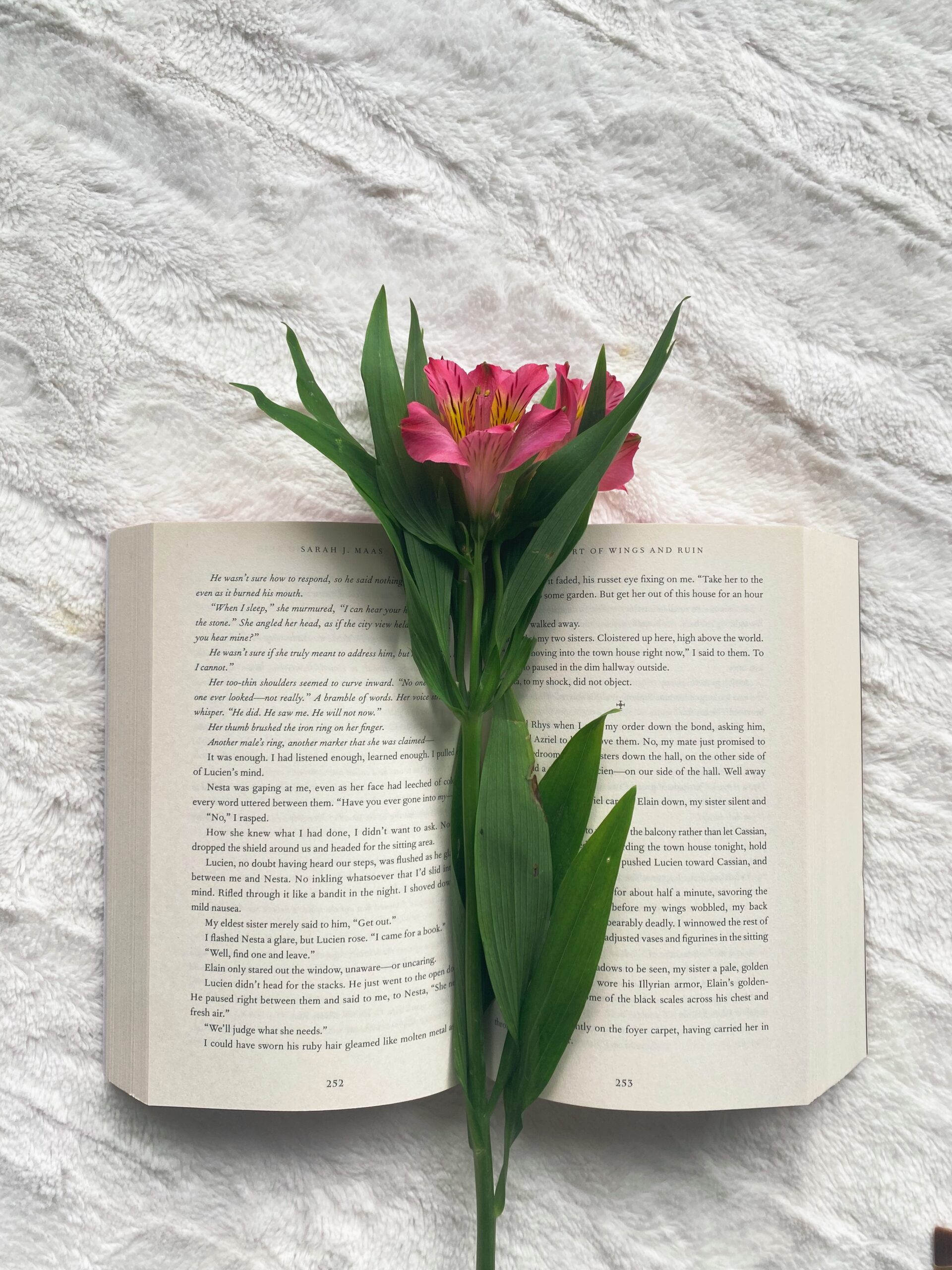 acowar a court of wings and ruin flatlay with flower